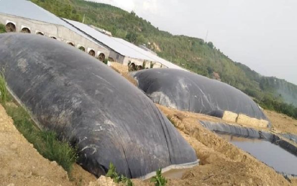 Bạt nhựa HDPE lót hầm Biogas - Hình ảnh 4