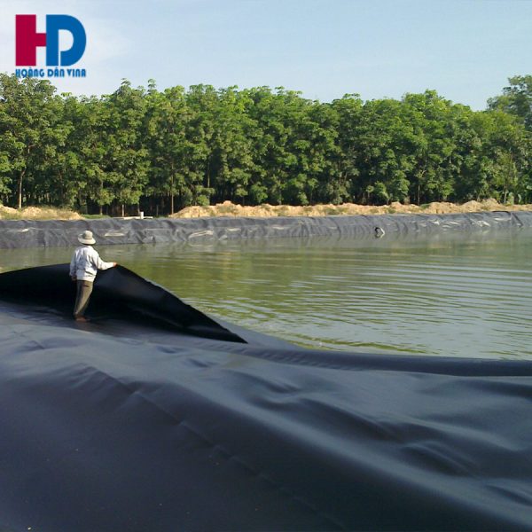 Bạt HDPE lót hồ tôm