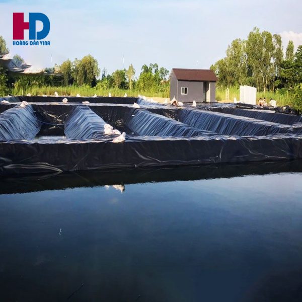 Bạt chống thấm HDPE lót ao, hồ nuôi cá