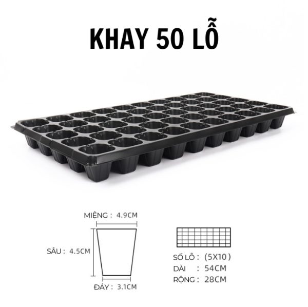 Khay ươm hạt giống 50 lỗ giá tốt, chất lượng